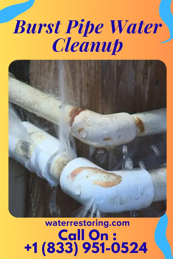 Burst Pipe Water Cleanup in Couderay, WI