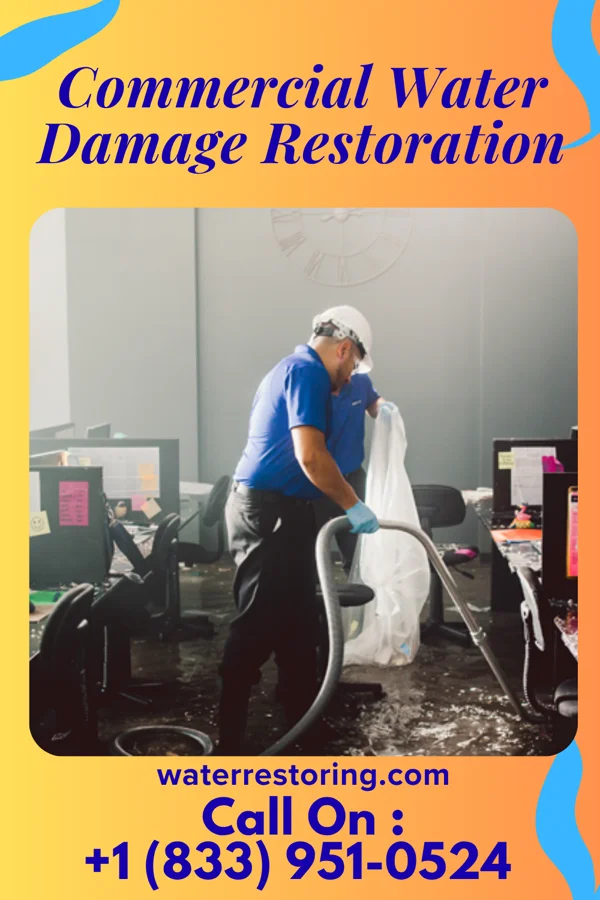 Commercial Water Damage Restoration in Couderay, WI
