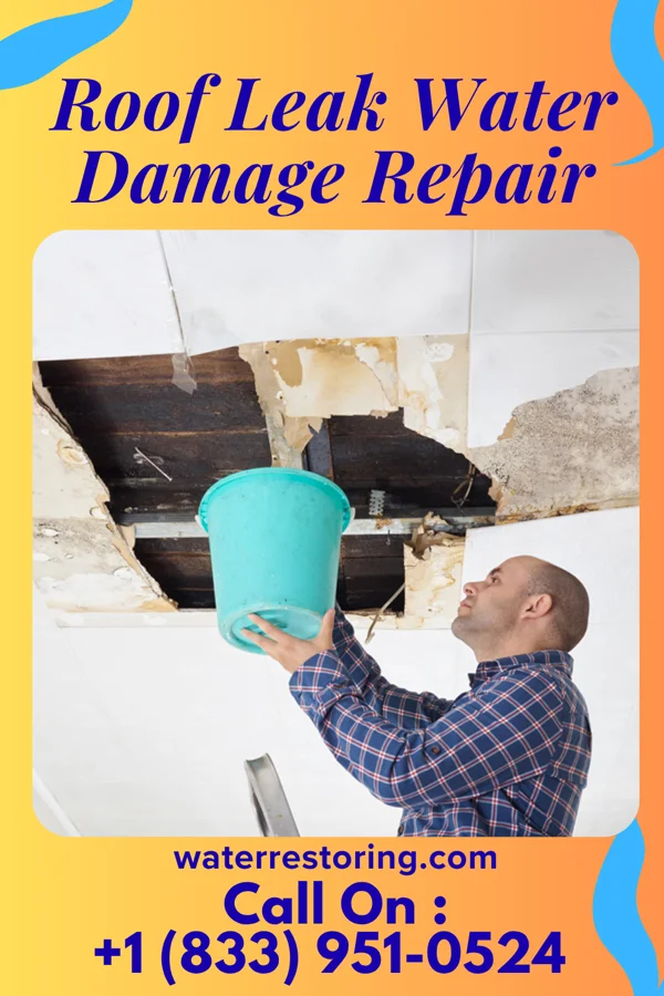 Roof Leak Water Damage Repair in Couderay, WI