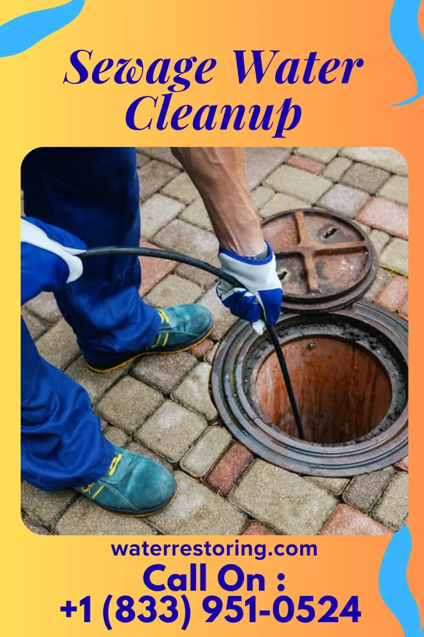 Sewage Water Cleanup in Couderay, WI