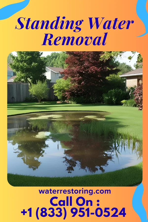 Standing Water Removal in Couderay, WI